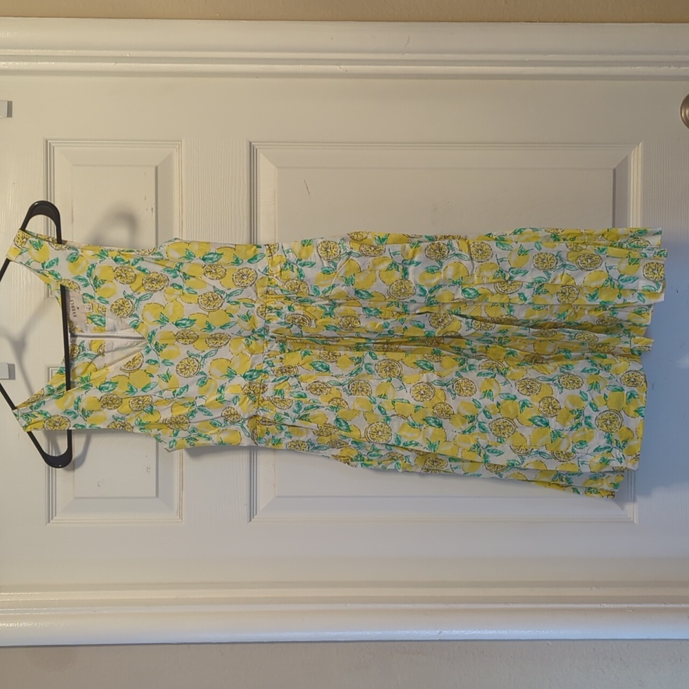 Everly lemons dress